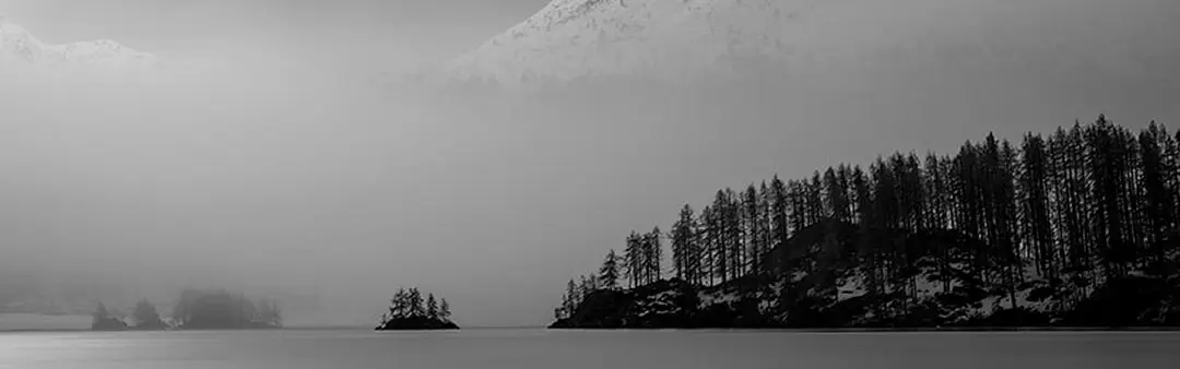 Minimalistisches Schwarzweiß-Panorama eines nebligen Bergsees im Engadin mit Waldsilhouette und kleiner Insel – Titelbild für Hemmi.photo.