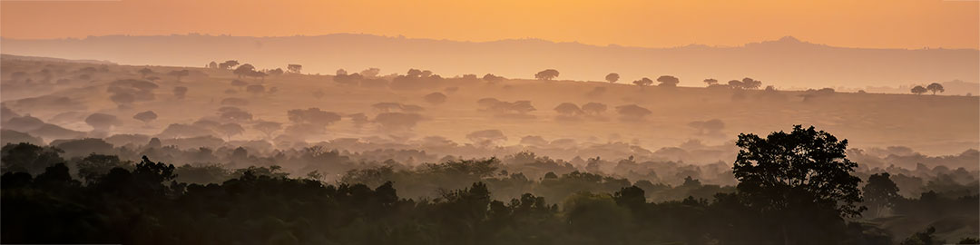 Misty landscape of a dark savannah with trees and a dirt track, with layered mountains under a pink-orange sunset sky.