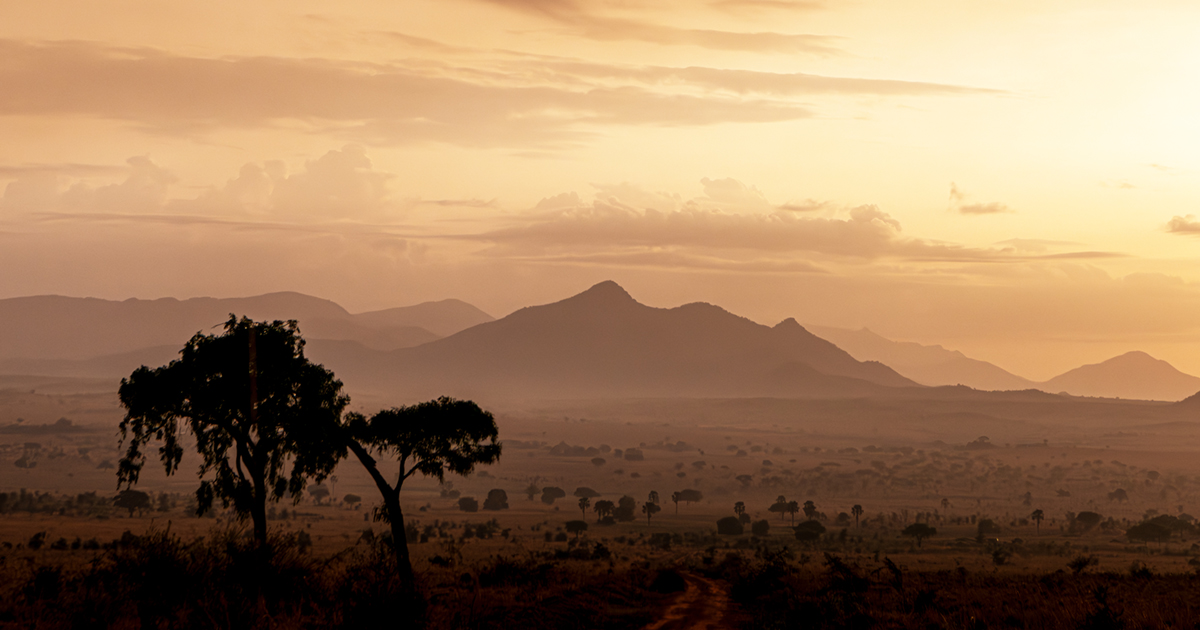 Savanne im Kidepo-Valley-Nationalpark in Uganda bei Sonnenuntergang, mit Baumsilhouetten vor einer Bergkette im Dunst