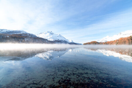 Frostige Idylle: Spiegelglattes Wasser und zarter Nebel nach einer kalten Nacht in den Schweizer Bergen. Ein glasklarer Schweizer Bergsee im Herbst mit aufsteigendem Morgennebel, gefrorenen Blättern im flachen Wasser und verschneiten Berggipfeln im Hintergrund.