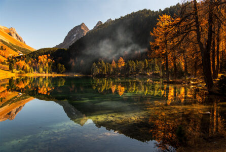 Naturparadies Schweiz: Das glasklare Wasser spiegelt die leuchtenden Herbstfarben der Alpentäler. in idyllischer Schweizer Bergsee im Herbst mit einer perfekten Spiegelung von goldenen Lärchenwäldern und markanten Berggipfeln im klaren Wasser.