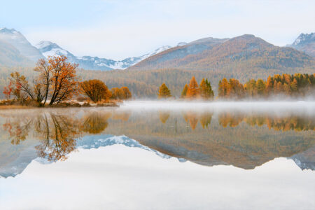 Goldener Herbst in der Schweiz: Symmetrische Spiegelung und mystischer Nebel auf einem alpinen Bergsee. Ein idyllischer Schweizer Bergsee im Herbst mit perfekter Spiegelung von goldenen Lärchen und verschneiten Bergen im ruhigen Wasser bei leichtem Morgennebel.
