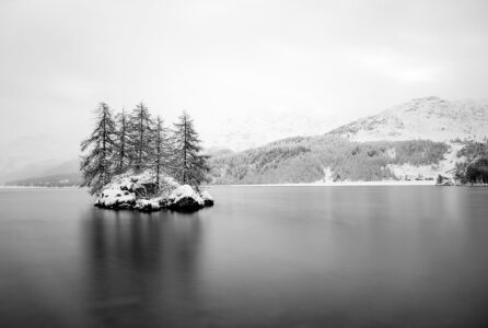 Winterliche Einsamkeit: Die ikonische kleine Insel im Silsersee inmitten der verschneiten Engadiner Bergwelt. Eine kleine, schneebedeckte Insel mit Nadelbäumen auf einem ruhigen Schweizer Bergsee im Winter, fotografiert in minimalistischem Schwarz-Weiss.