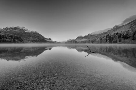 Perfekte Symmetrie und zeitlose Stille: Das spiegelglatte, glasklare Wasser fängt die majestätischen Berggipfel und bewaldeten Hänge im feinen Nebel ein. Ein zutiefst emotionaler Schwarz-Weiss-Moment vollkommener Balance und Engadiner Weite. Eine Schwarz-Weiss-Fotografie eines spiegelglatten Bergsees im Engadin. Das Wasser im Vordergrund ist so klar, dass man die Kieselsteine auf dem Grund sehen kann. Ein kleiner, kahler Ast ragt sanft aus der Wasseroberfläche. Die umliegenden, teilweise schneebedeckten Berge und herbstlichen Wälder spiegeln sich perfekt symmetrisch im See, während leichter Nebel über dem Wasser und zwischen den Hängen liegt.